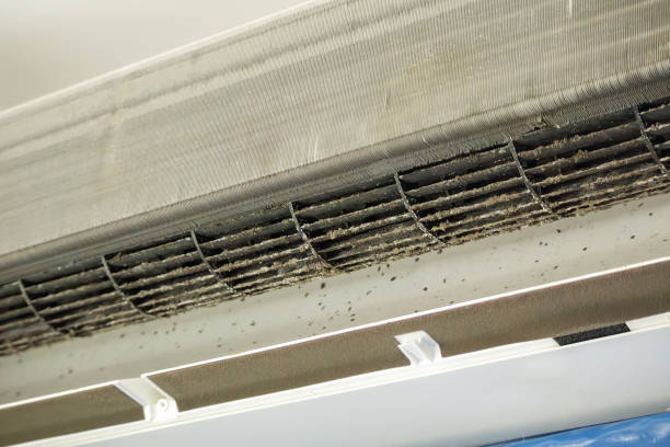 Best Professional Duct Cleaning Services  in El Dorado, AR